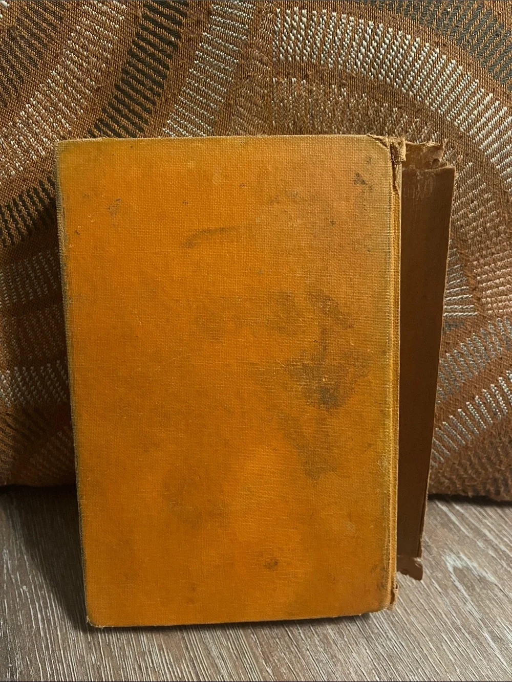 Forlorn River by Zane Grey 1926